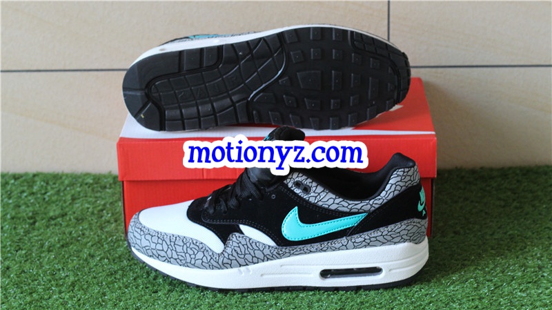 Nike Air Max 1 Atmos Elephant 2017